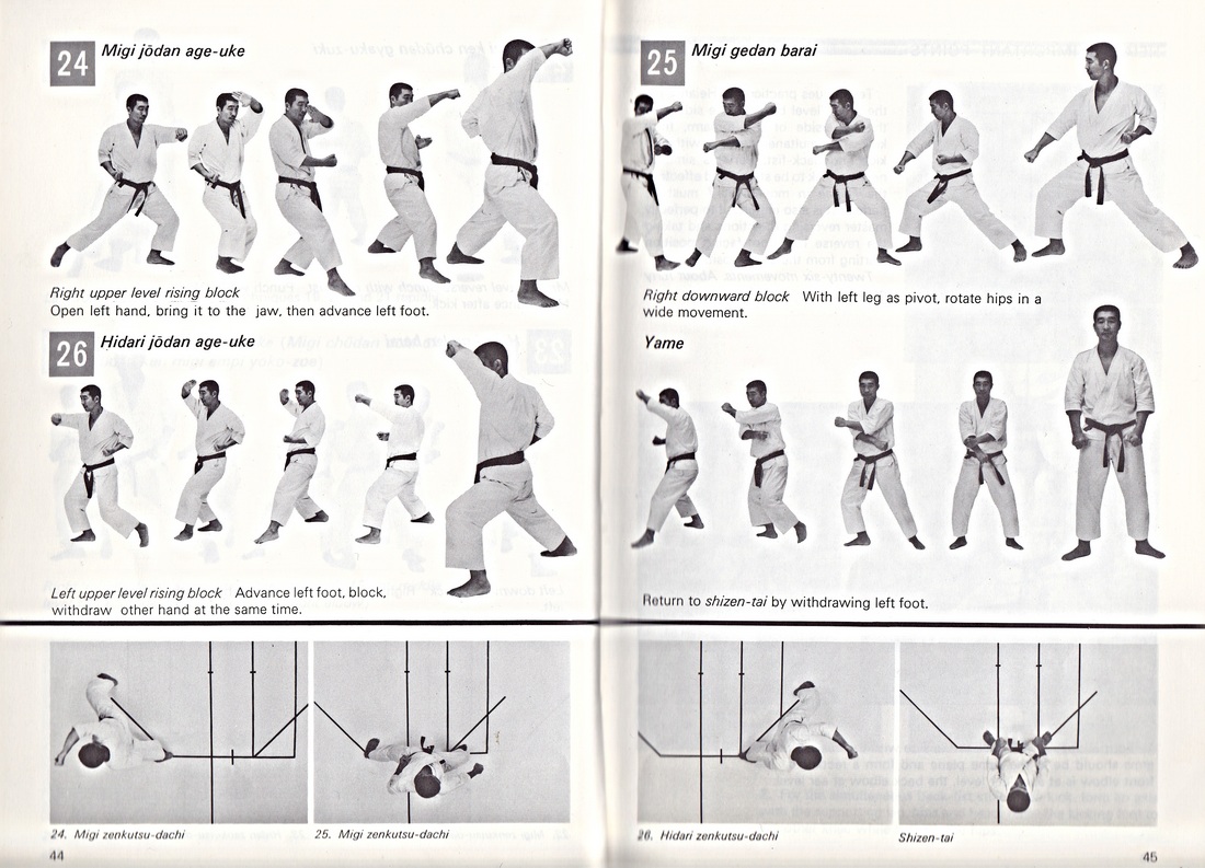 cool karate moves